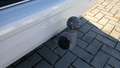View of trailer tow-bar hitch