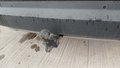 View of trailer tow-bar hitch
