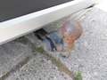View of trailer tow-bar hitch