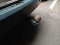 View of trailer tow-bar hitch