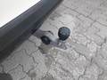 View of trailer tow-bar hitch