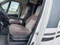 View of front seats