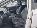 View of front seats