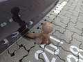 View of trailer tow-bar hitch