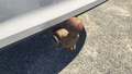 View of trailer tow-bar hitch