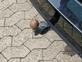 Podrobna fotografija
