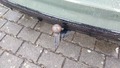 View of trailer tow-bar hitch