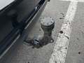 View of trailer tow-bar hitch