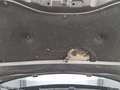 Podrobna fotografija