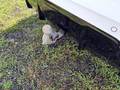 View of trailer tow-bar hitch