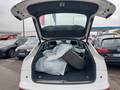 View of boot / luggage space