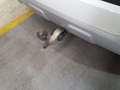 View of trailer tow-bar hitch