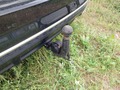 View of trailer tow-bar hitch