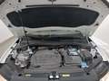Vue du compartiment moteur
