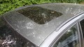 View of sunroof / panoramic roof
