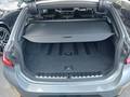 View of boot / luggage space