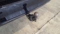 View of trailer tow-bar hitch