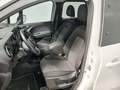 View of front seats