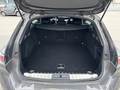 View of boot / luggage space
