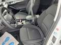 View of front seats