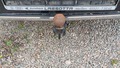 View of trailer tow-bar hitch