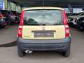 Rear view