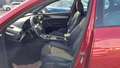 View of front seats