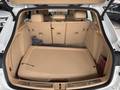 View of boot / luggage space