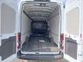 View of boot / luggage space