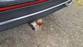 View of trailer tow-bar hitch