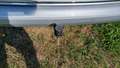 View of trailer tow-bar hitch
