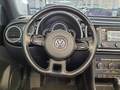 View of steering wheel