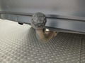 View of trailer tow-bar hitch