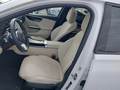 View of front seats