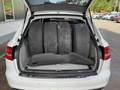 View of boot / luggage space