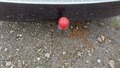 View of trailer tow-bar hitch