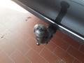 View of trailer tow-bar hitch