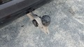 View of trailer tow-bar hitch