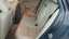 Zadnja klupa