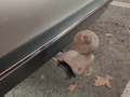 View of trailer tow-bar hitch
