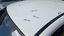 Tavan