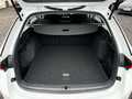View of boot / luggage space