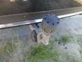 View of trailer tow-bar hitch