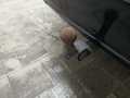 View of trailer tow-bar hitch