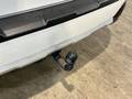 View of trailer tow-bar hitch