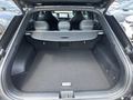 View of boot / luggage space