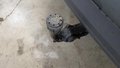 View of trailer tow-bar hitch