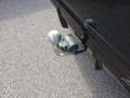 View of trailer tow-bar hitch
