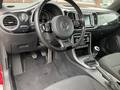 View of steering wheel