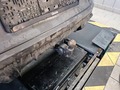 Detailfoto